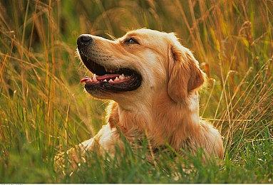 英国9月游戏销量榜 《星球大战：亡命之徒》表现失望