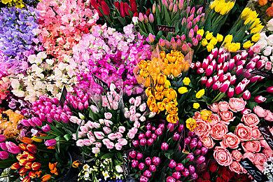 Mega64重现《龙珠Z》元气弹名场景 G胖、小岛秀夫等参演